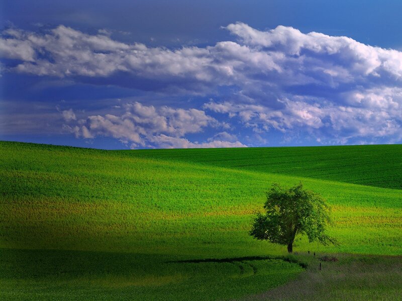 Green hills under cloudy sky