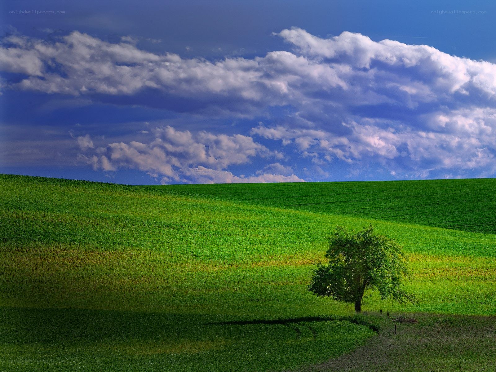 Green hills under cloudy sky