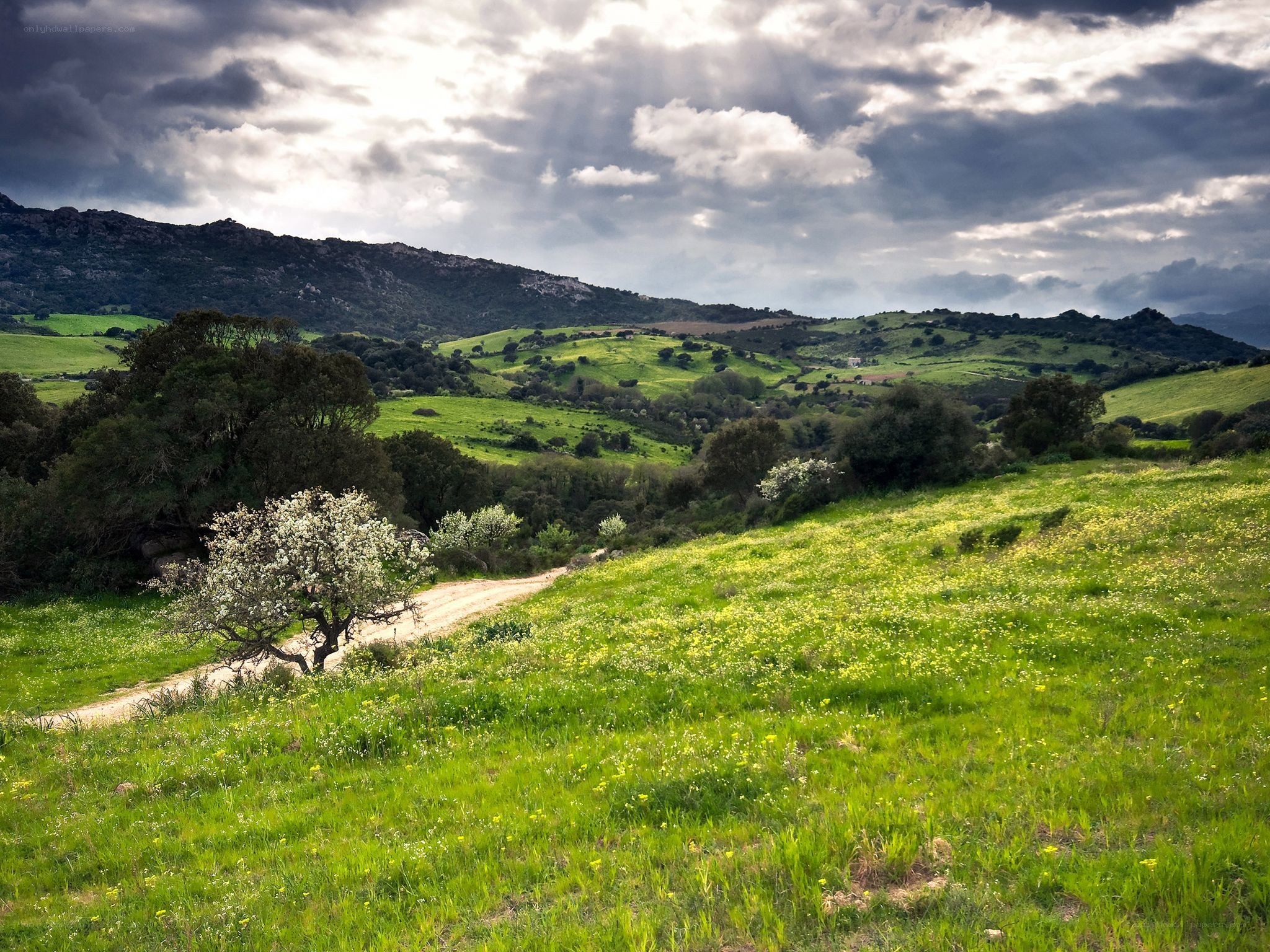 Green hills under cloudy sky