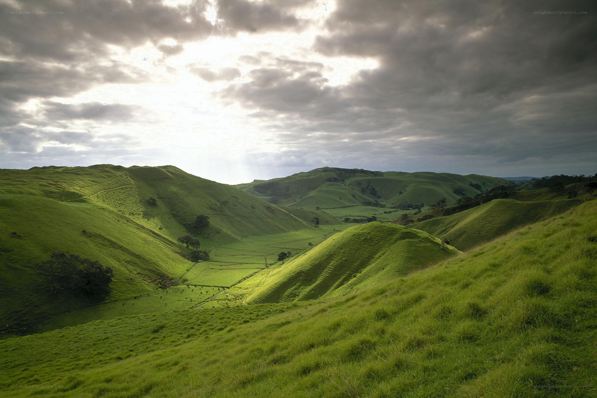 Green hills under cloudy sky