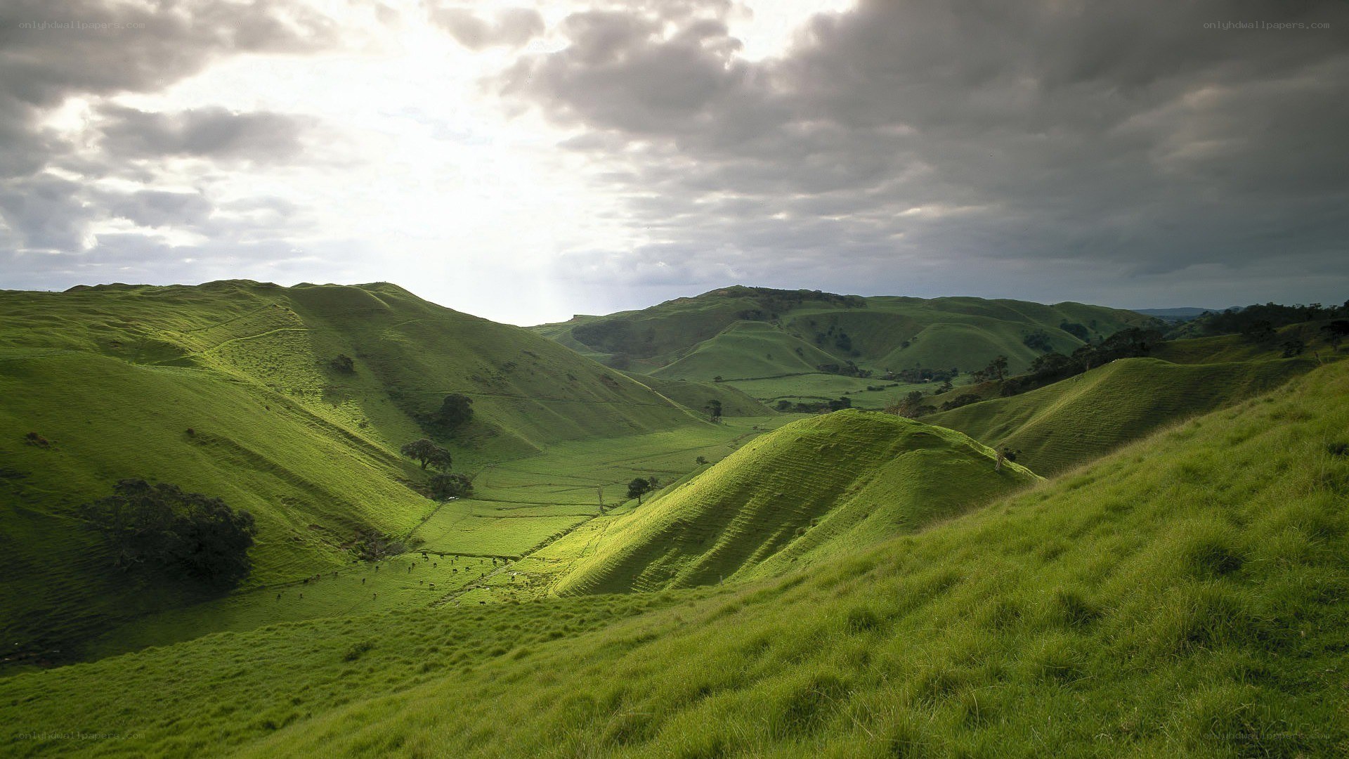 Green hills under cloudy sky