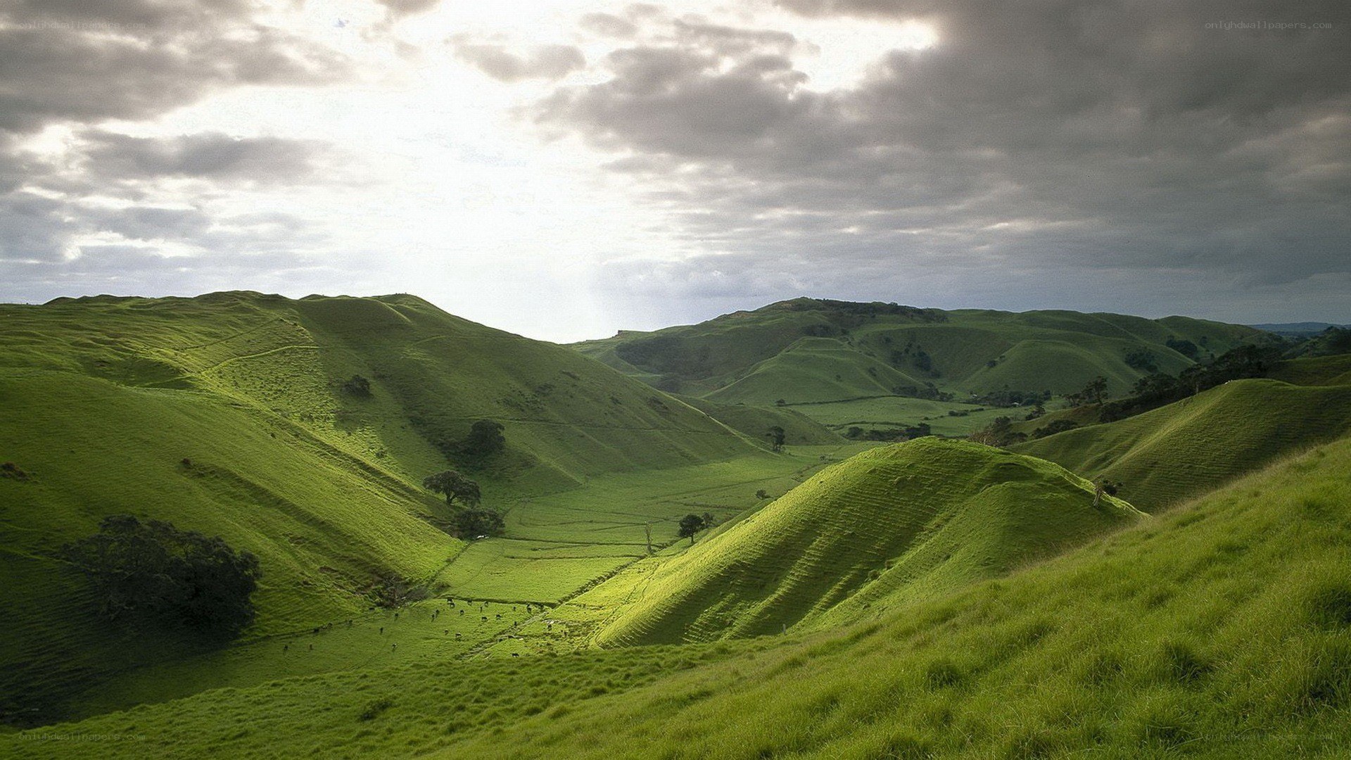 Green hills under cloudy sky