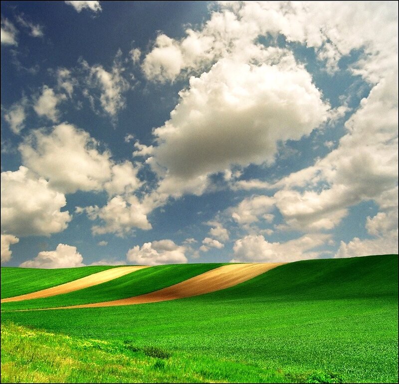 Green hills under cloudy sky