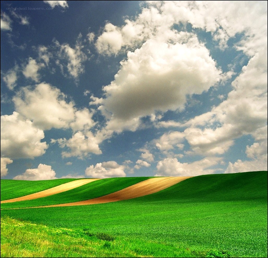 Green hills under cloudy sky