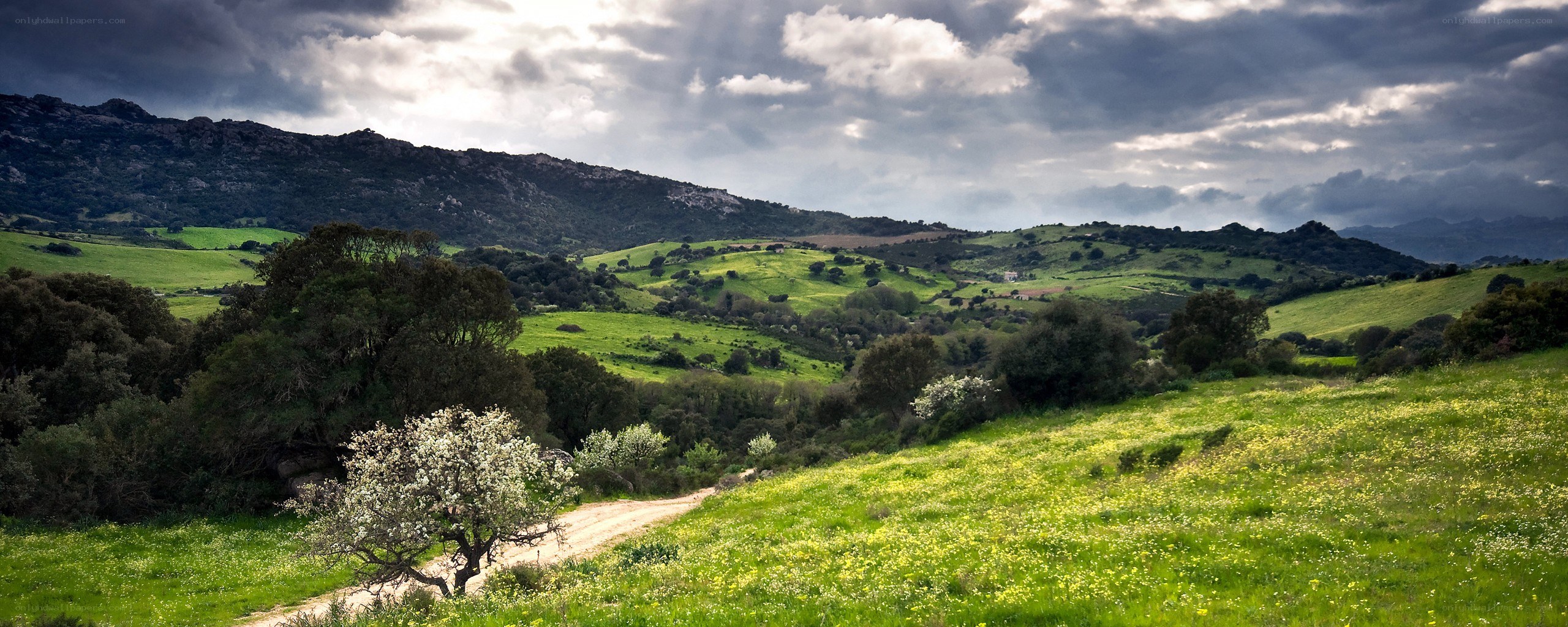 Green hills under cloudy sky