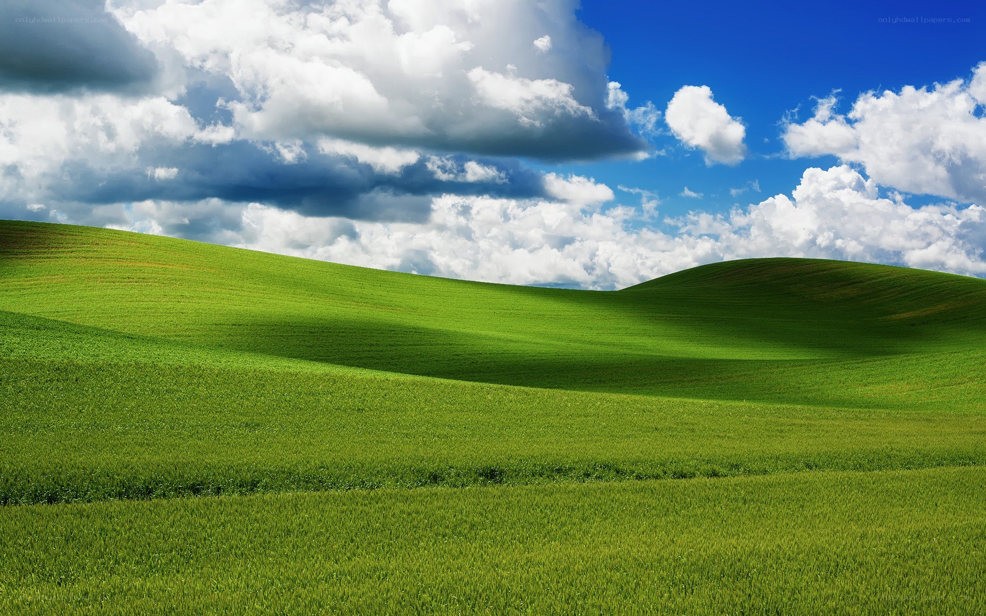 Green hills under cloudy sky