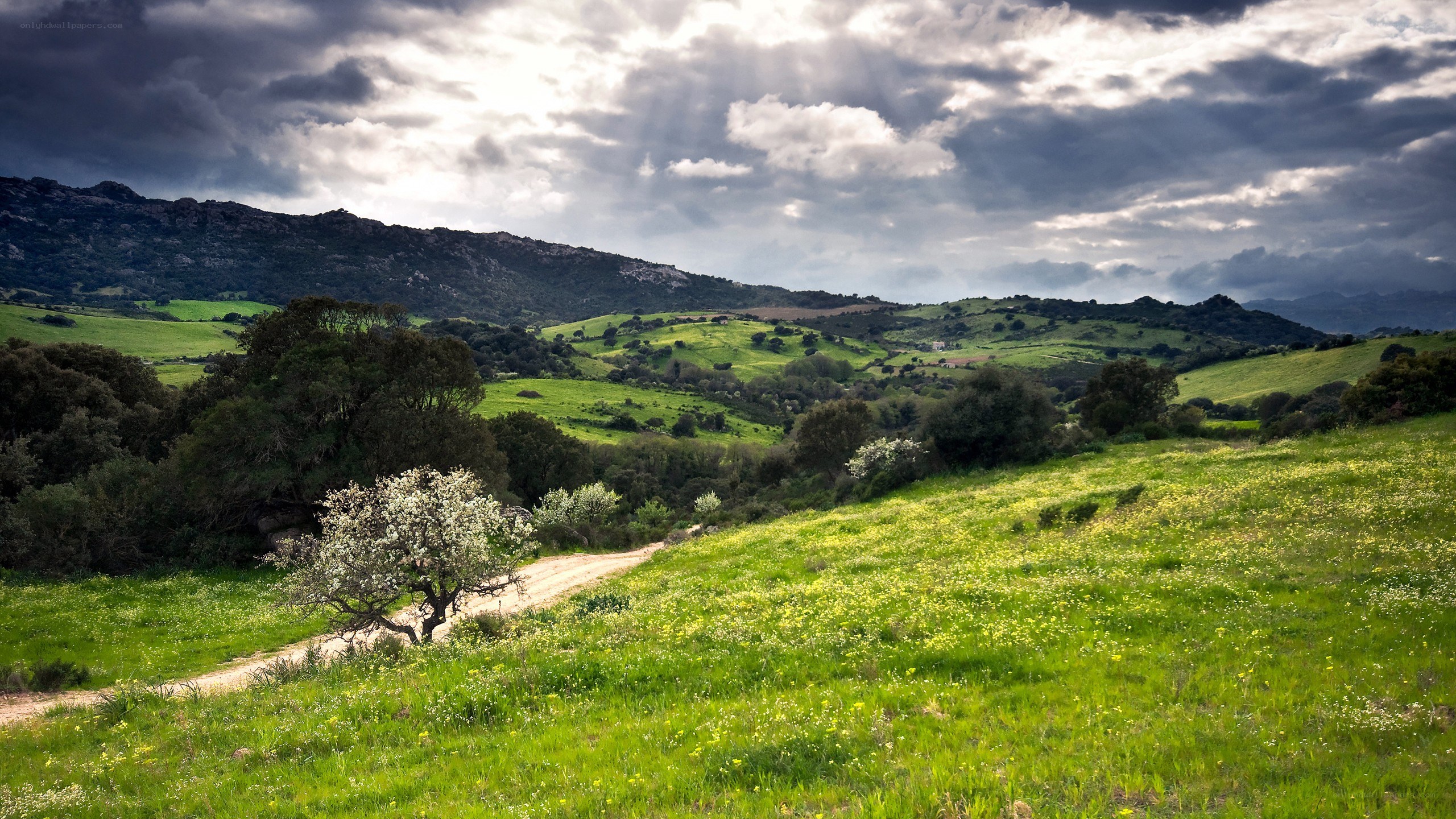 Green hills under cloudy sky