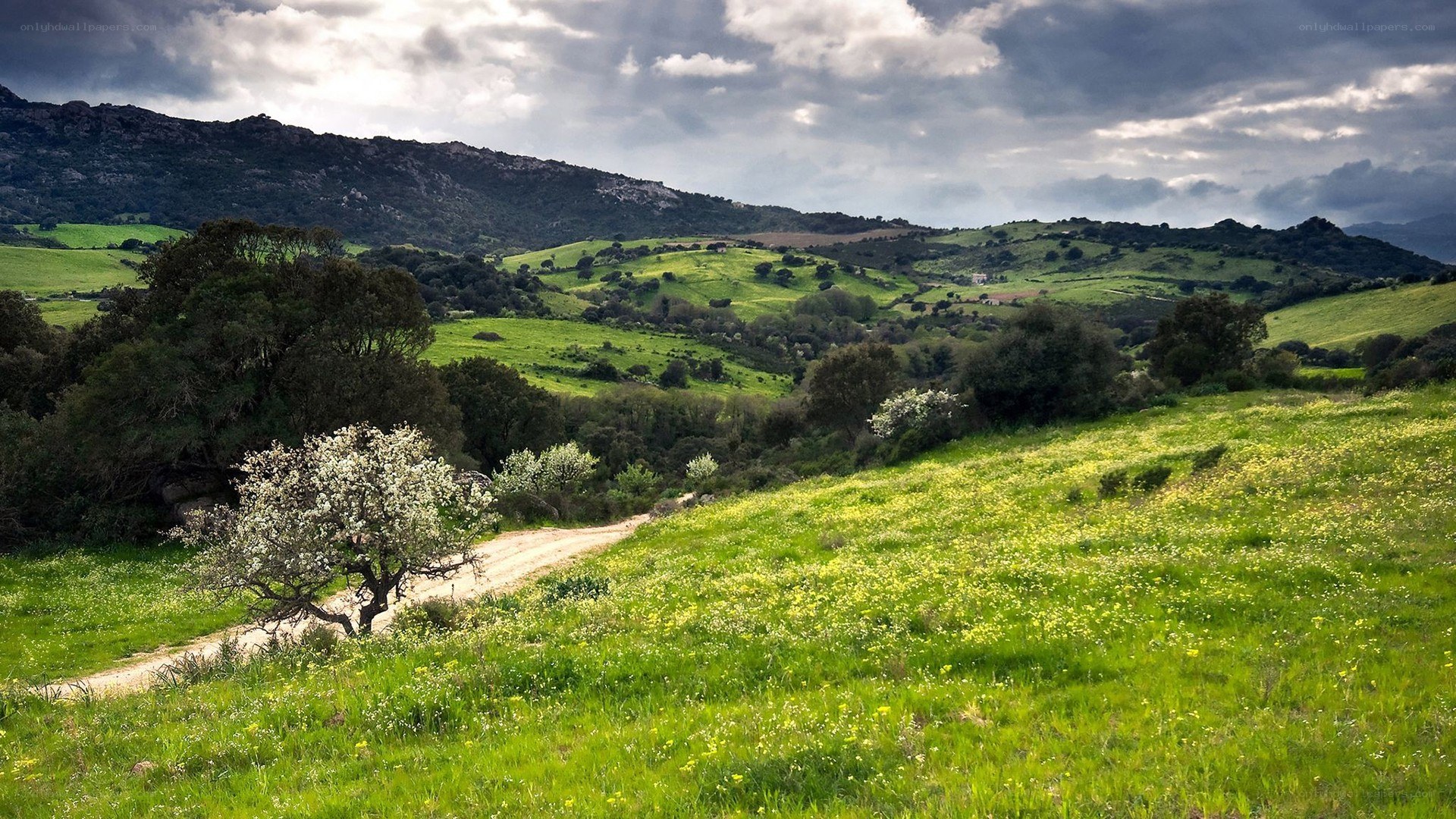 Green hills under cloudy sky