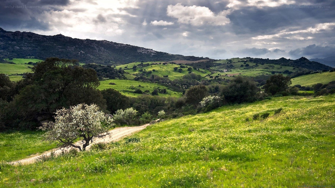 Green hills under cloudy sky
