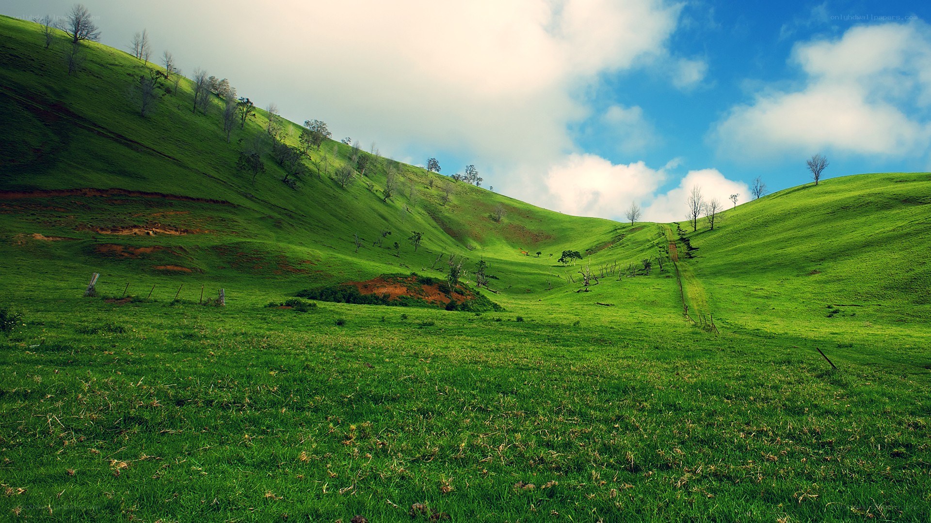 Green hills under cloudy sky