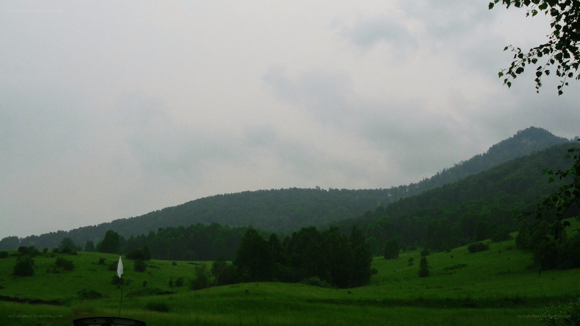 Green hills under cloudy sky