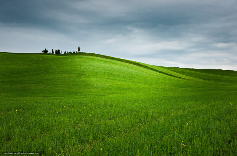 Green Hills under Cloudy Sky — Dramatic, Afternoon, Photograph, Trees