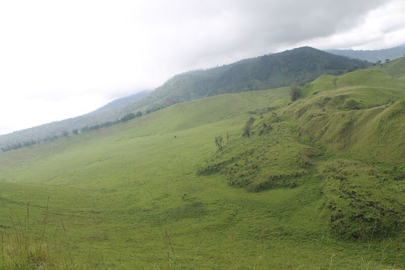 Green Hills under Cloudy Sky — Overcast, Photograph