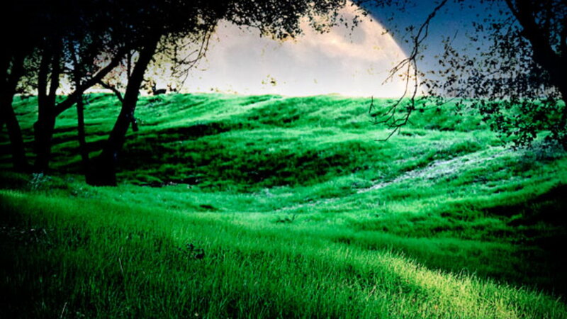 Green Hills under Moon