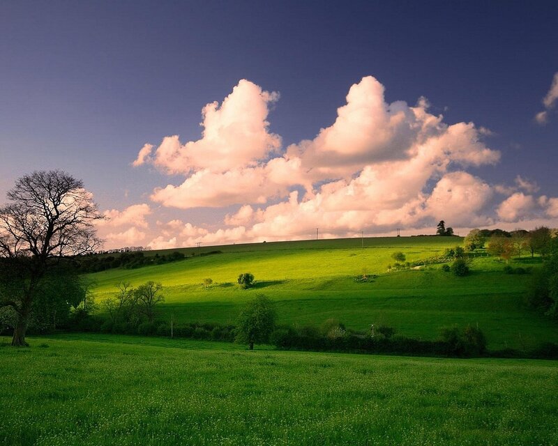 Green hills under pink clouds