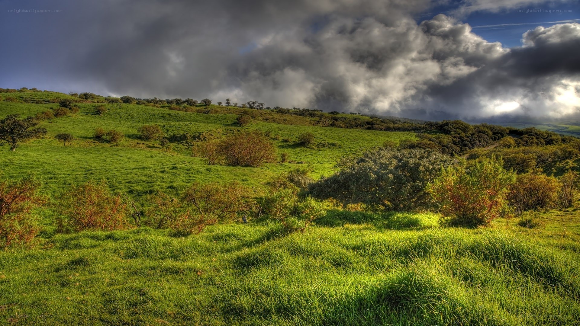 Green hills under stormy sky