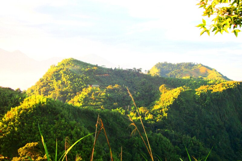 Green Hills under Sunlight