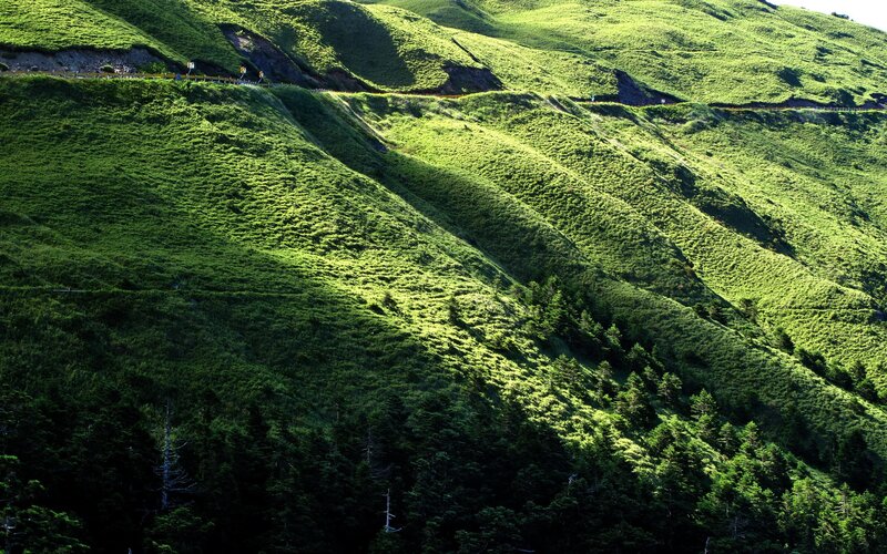 Green hills with a winding road