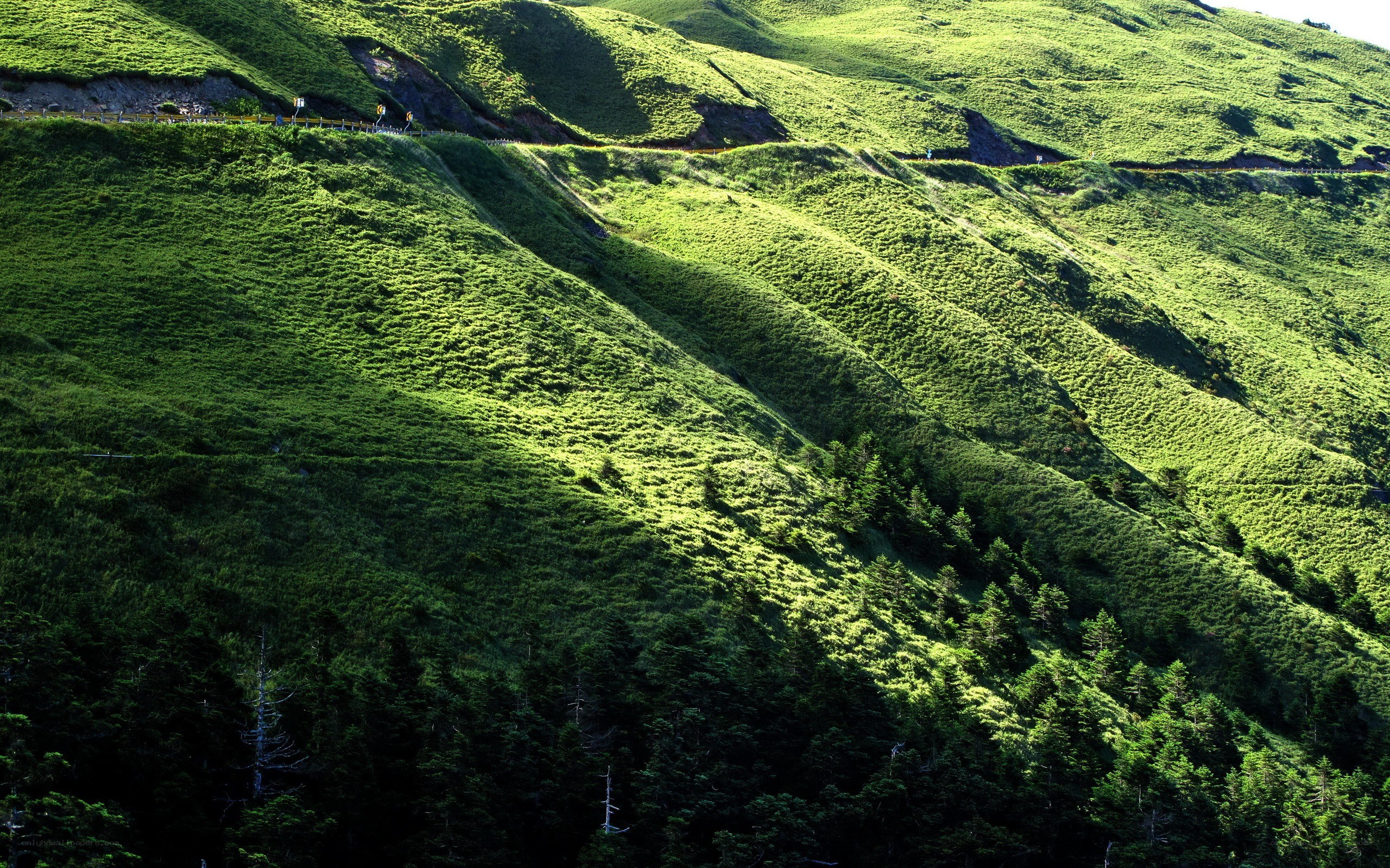 Green hills with a winding road