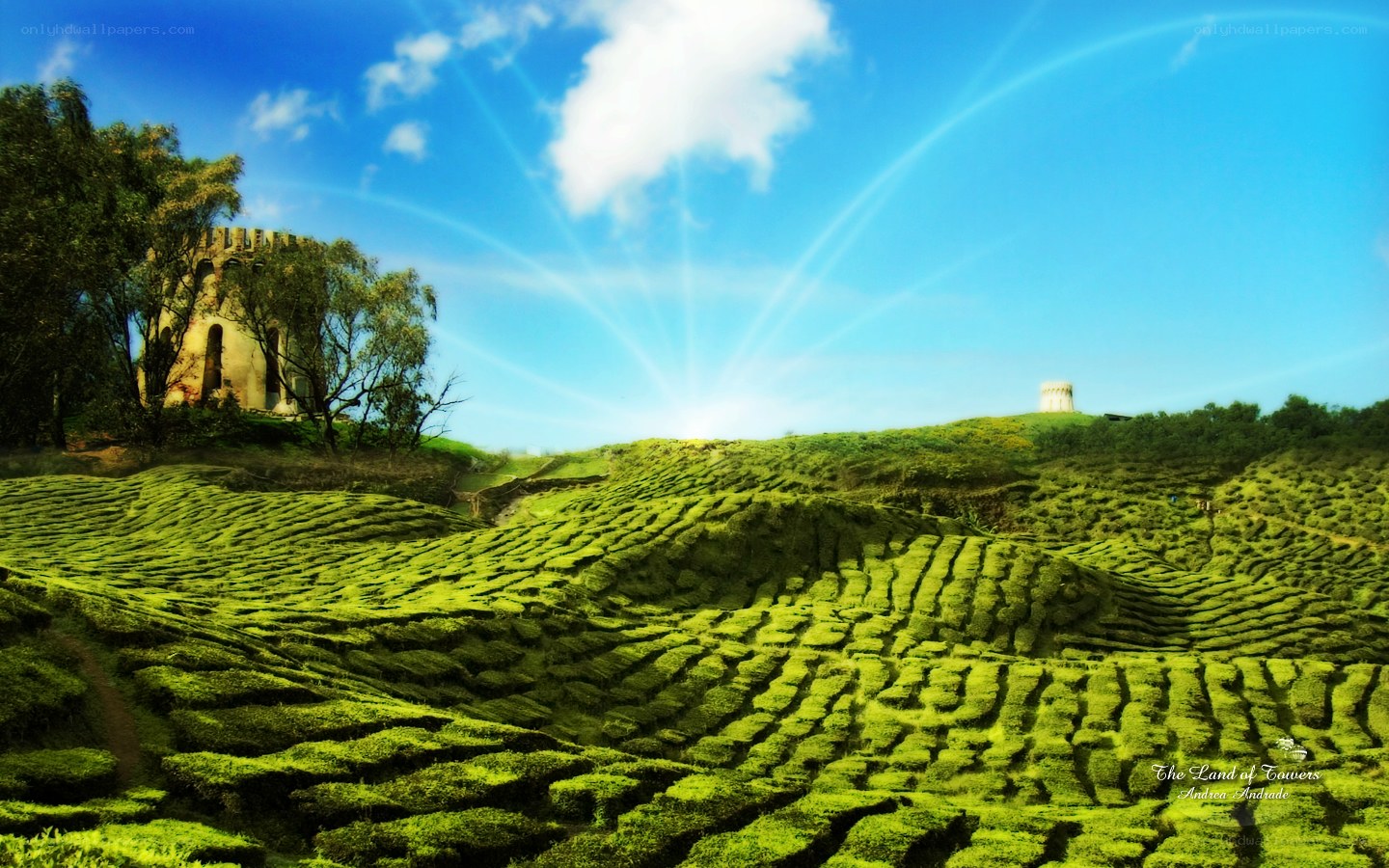 Green hills with ancient towers