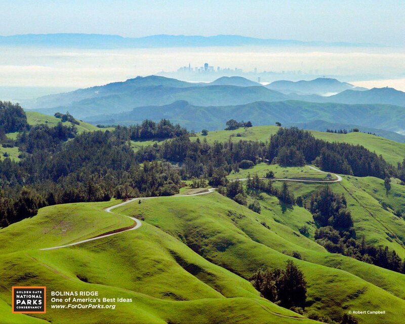 Green Hills with City View
