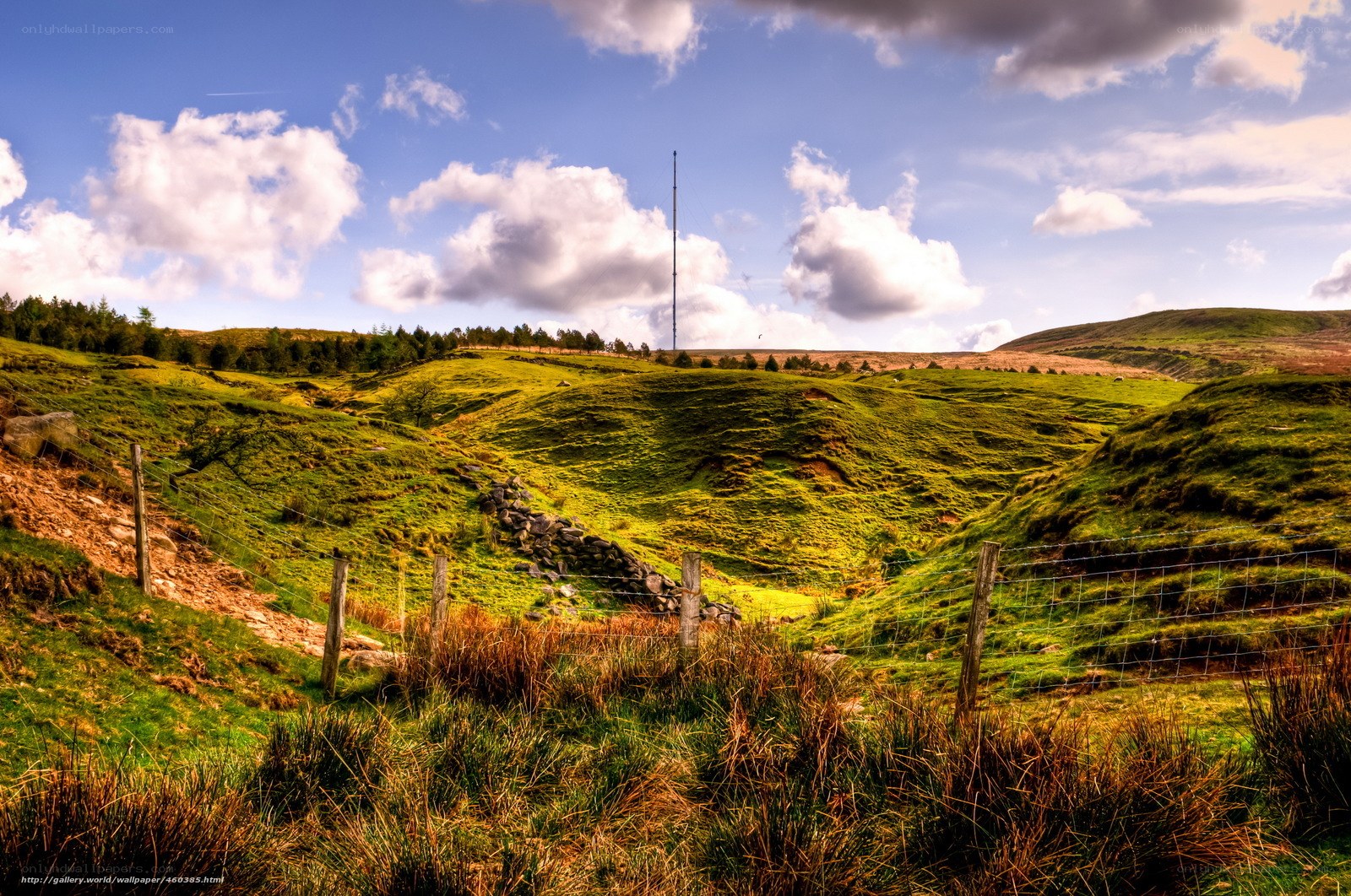 Green hills with communication tower