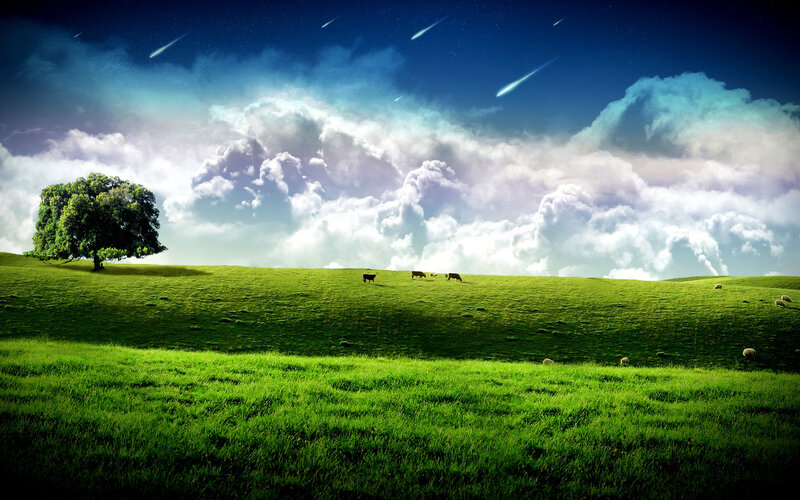 Green Hills with Cows