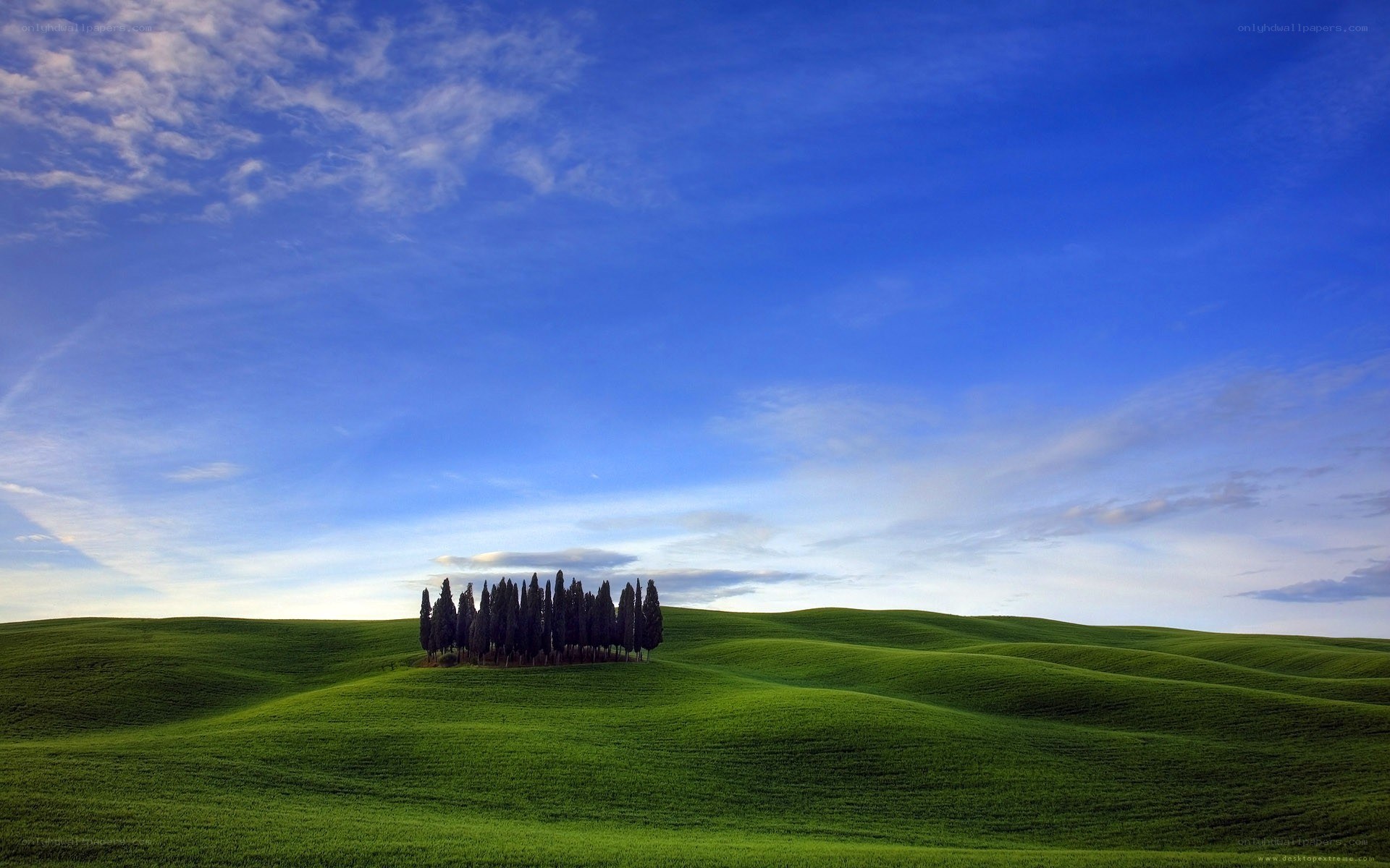 Green hills with cypress trees
