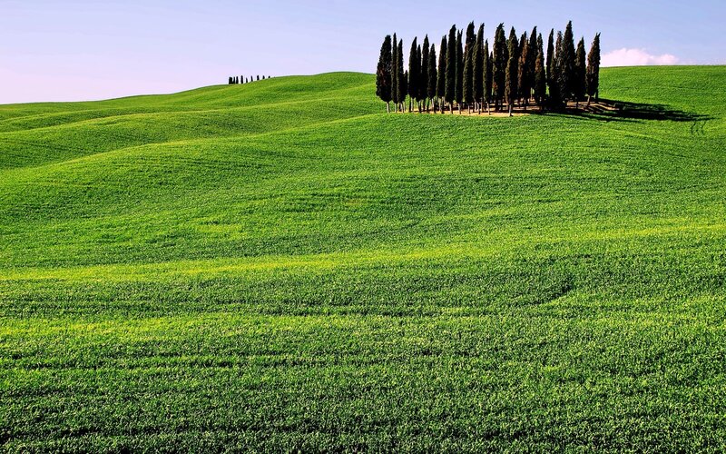 Green hills with cypress trees