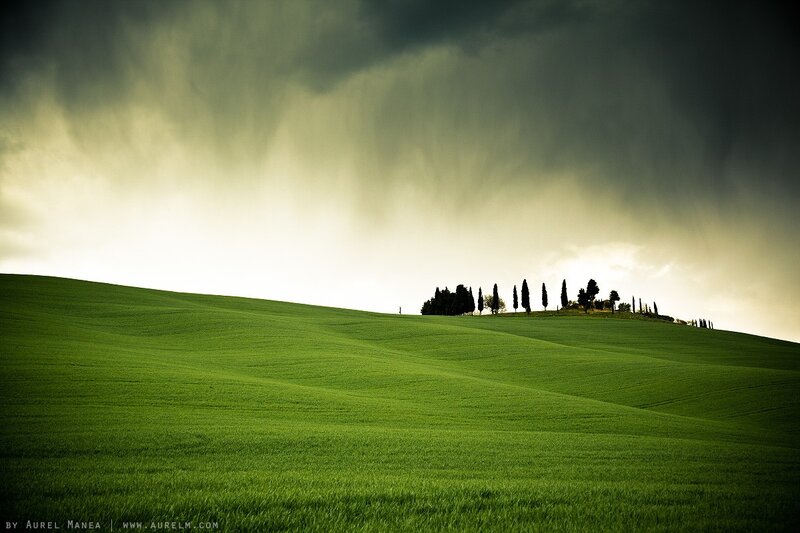 Green Hills with Cypress Trees — Dramatic