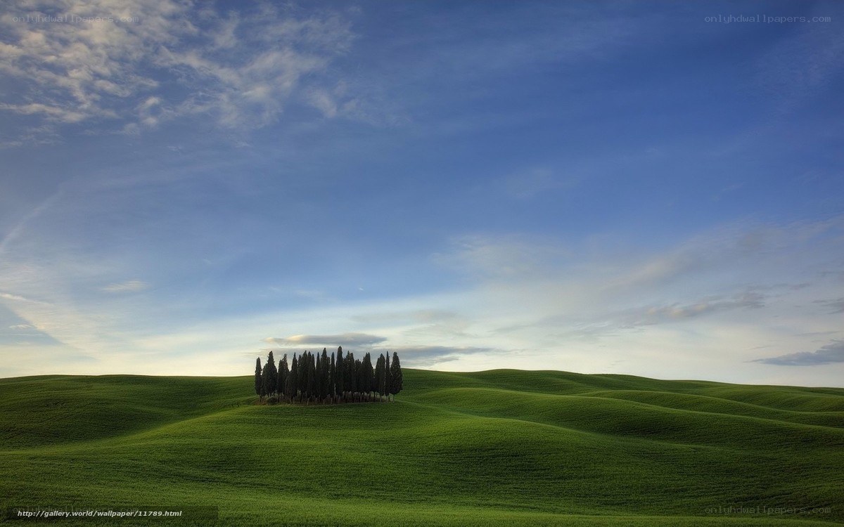 Green hills with cypress trees