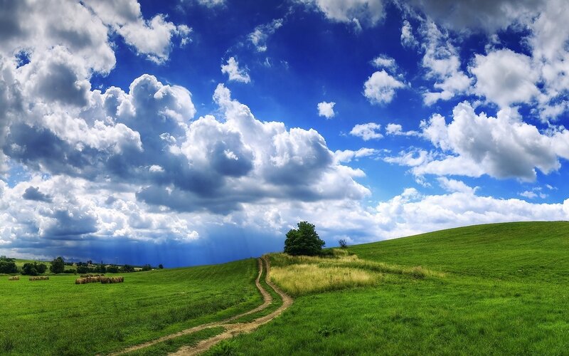 Green Hills with Dirt Path — Blue