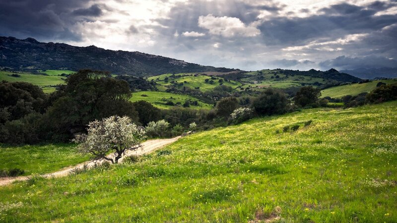 Green Hills with Dirt Path — Dramatic, Afternoon, Photograph