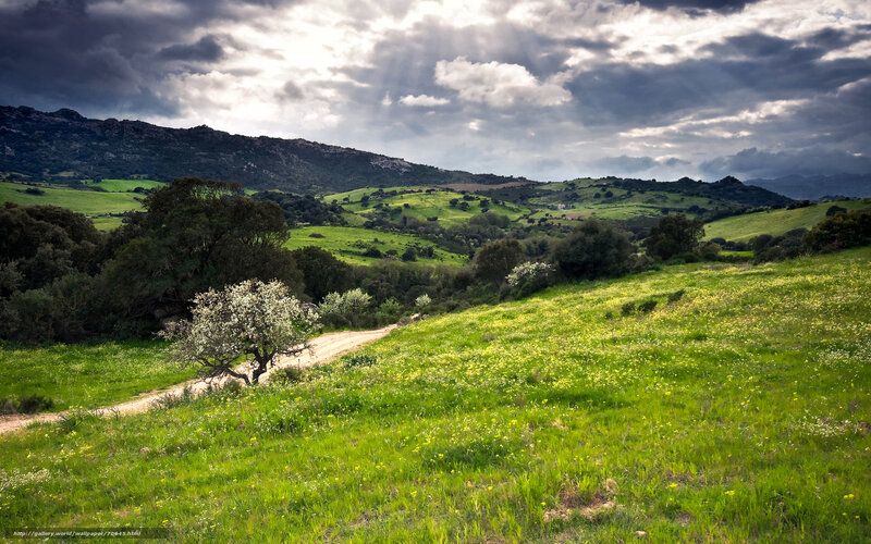 Green Hills with Dirt Path — Dramatic