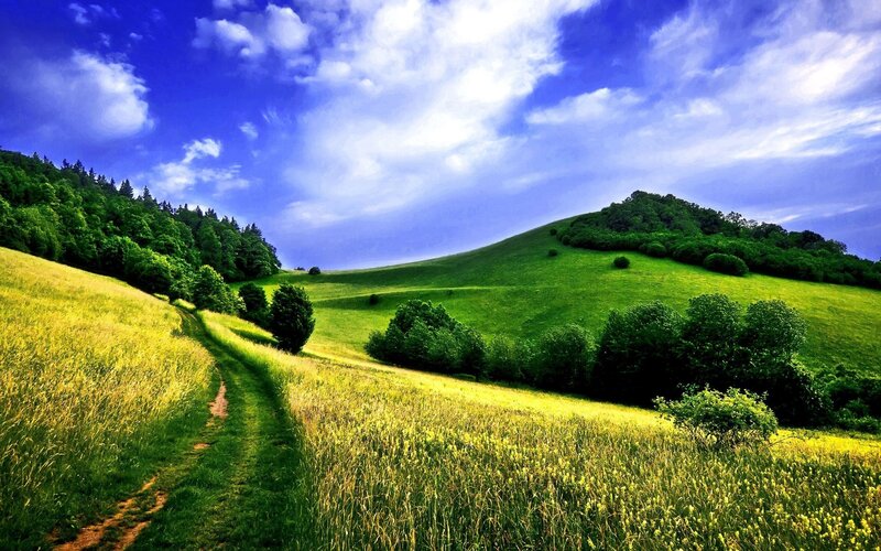 Green Hills with Dirt Path — Serene, Afternoon
