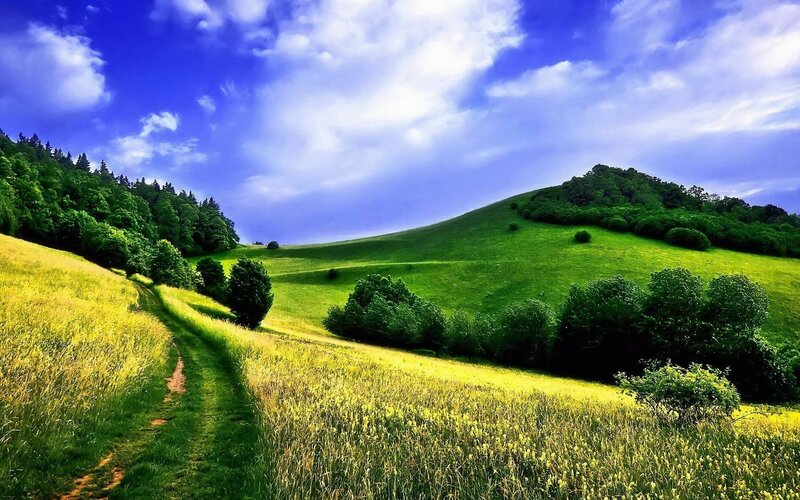 Green Hills with Dirt Path — Serene