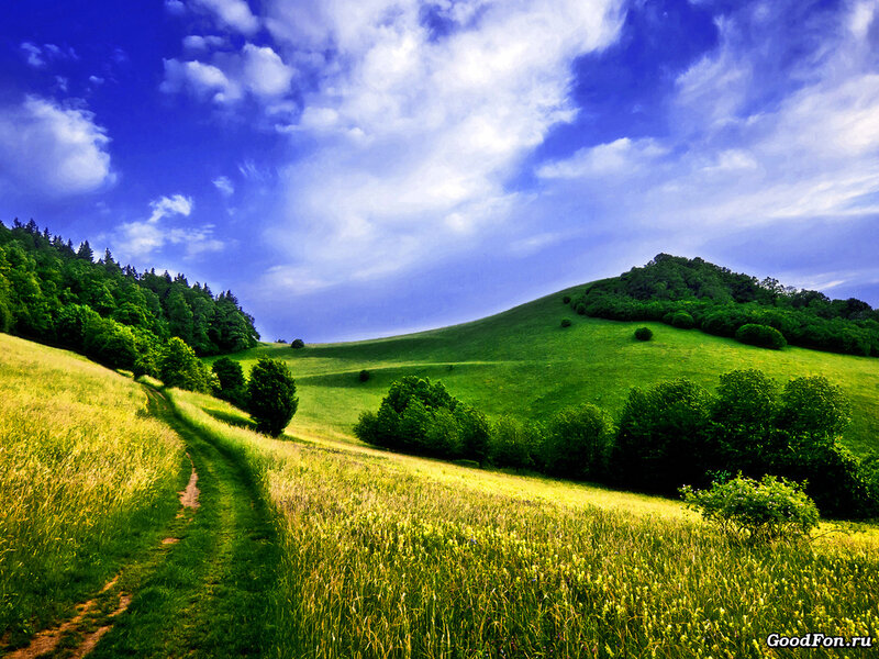 Green Hills with Dirt Path