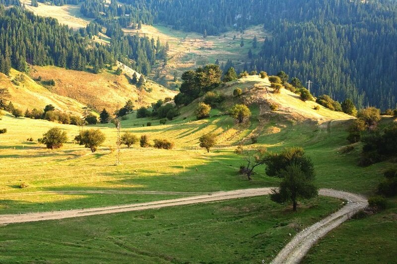 Green Hills with Dirt Road