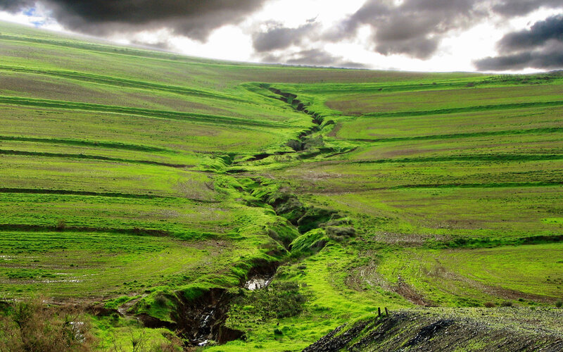 Green hills with erosion gullies