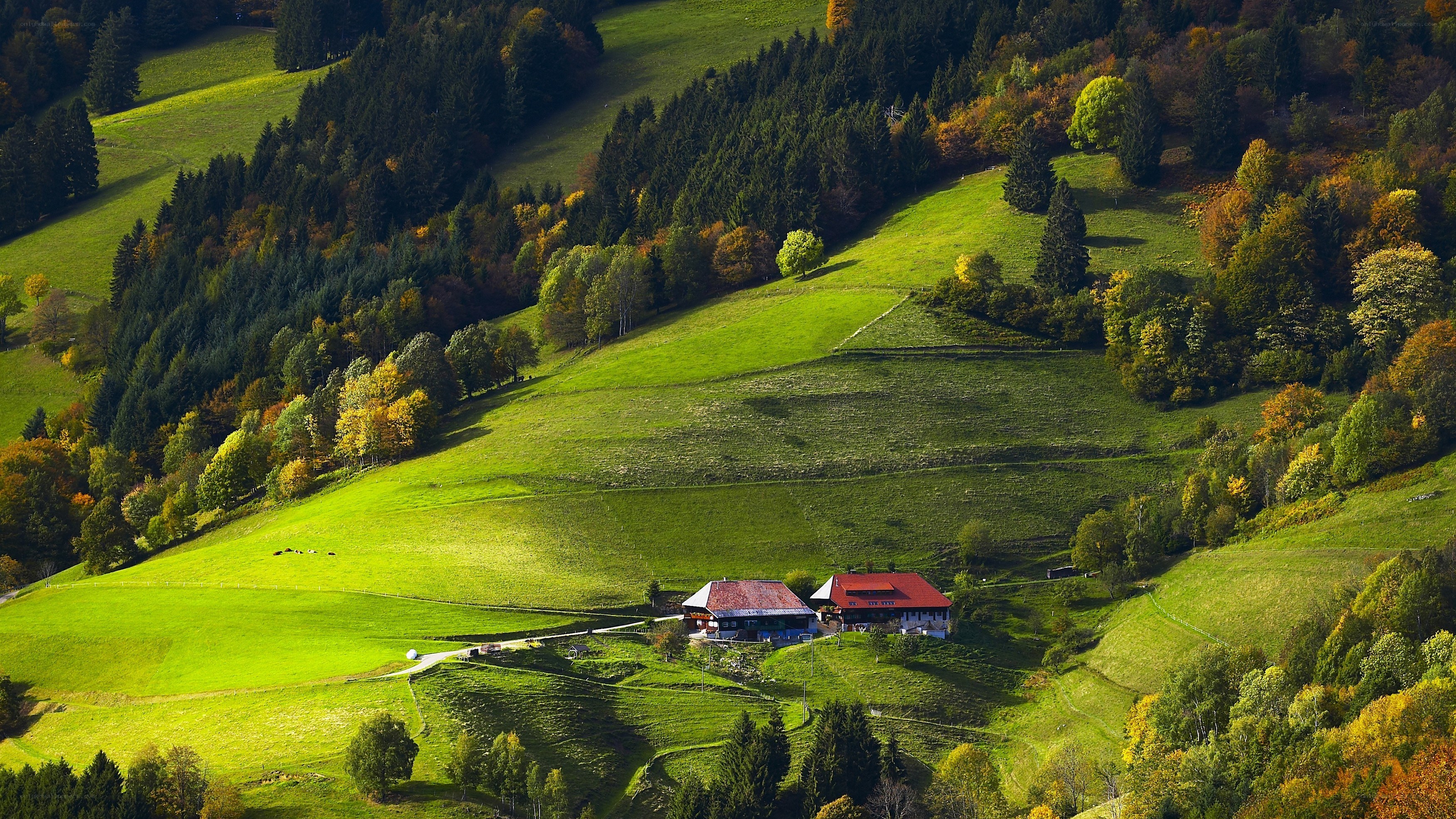 Green hills with farm buildings