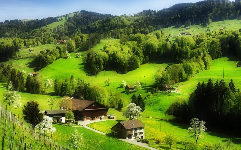 Green Hills with Farms