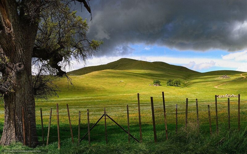 Green Hills with Fence — Dramatic