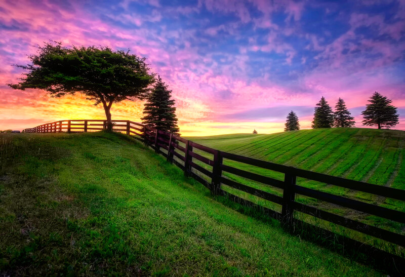 Green Hills with Fence — Serene