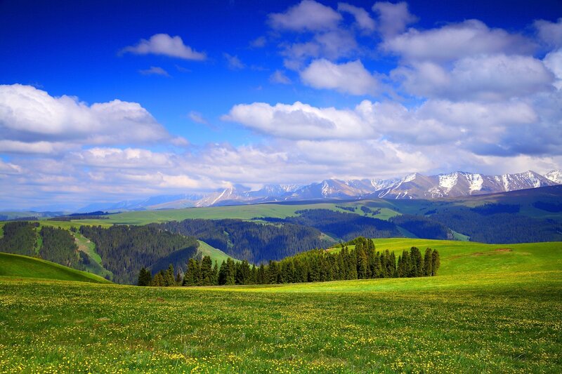 Green Hills with Flowers — Blue