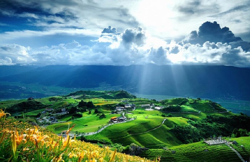 Green Hills with Flowers
