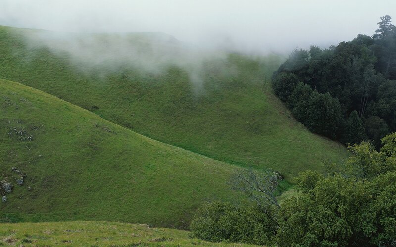 Green Hills with Fog — Misty, Morning, Photograph