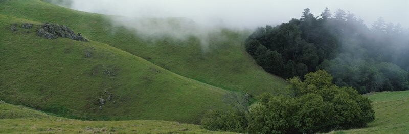Green Hills with Fog — Misty, Morning, Photograph, Trees, Gray