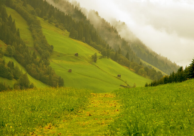 Green Hills with Fog — Misty