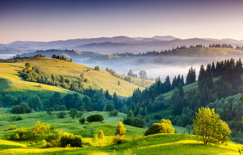 Green Hills with Fog — Serene, Morning, Photograph