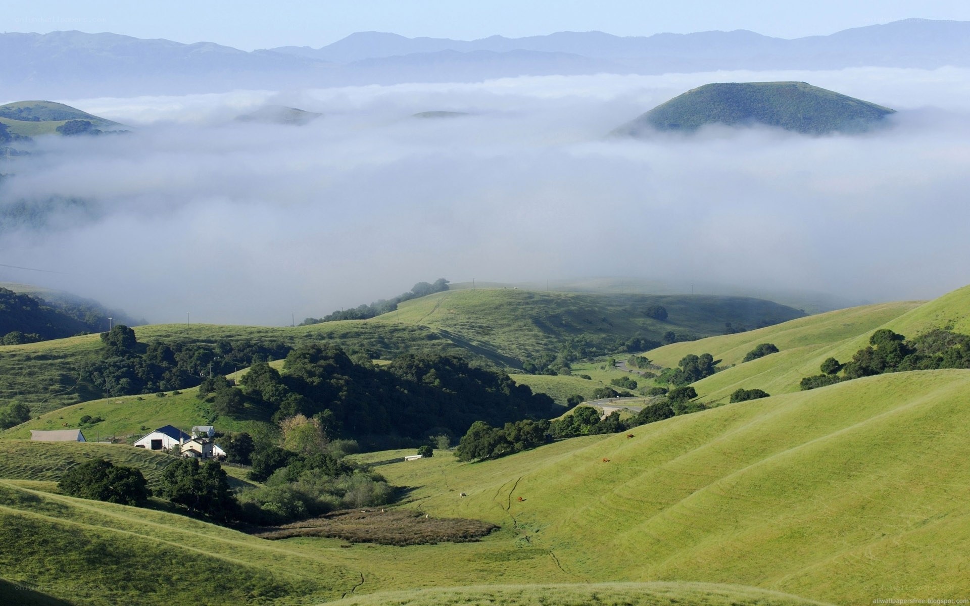 Green hills with fog